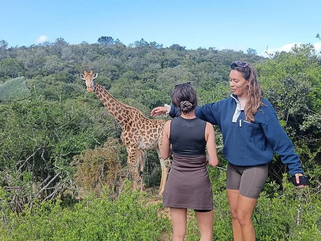 Due donne osservano una giraffa in piedi tra i cespugli.