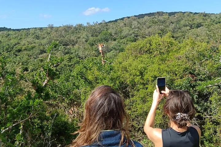 Foto del tour
